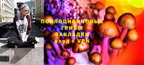 мескалин Алексин
