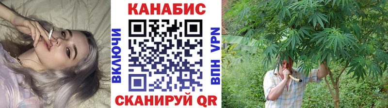 Бошки марихуана SATIVA & INDICA  купить наркоту  Апатиты 